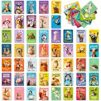 50 Birthday Text Cards Cute Animals Series Graphic Combination Small Fresh Birthday Greeting Card Batch T01042718