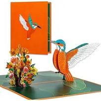 Hummingbird Pop Up Card - 3D Birthday Pop Up Gift Hummingbird Card for All Occasion-Mother's Day Thanksgiving Day for Women Mom Wife Grandma Sister oranžinė