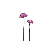 2pcs Metal Garden Bird Feeder Set Outdoor Ground Stake Bird Bath Decorative Flower Sculpture Yard Patio Lawn Ornament One Size violetinė