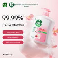 Dettol Moisturizing Hand Wash