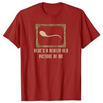 This Is A Photo of Sperm I Took A Long Time AgoWomens Tshirt Humorous Funny Fashionable Joke Tshirt A Gift for My Husband S