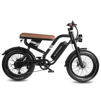 Maxturn Mx10 Elektrinis dviratis 250W variklis 20 x4.0  padanga Visureigis Suaugusiųjų elektrinis dviratis 48V 13.5Ah Dvigubi diskiniai stabdžiai Maksimali apkrova 150Kg mėlyna