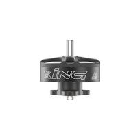 IFLIGHT XING 1002 FPV Drone Motor