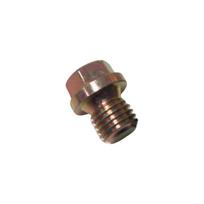 0029973430 Oil Drain Plug For Mercedes‑Benz SL600 C63 AMG Engine