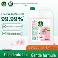 Dettol 5L Moisturizing Antibacterial Hand Sanitizer