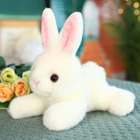 New Doll Party Rabbit Doll Plush Toy Little White Rabbit Doll Small Doll 22cm (excluding carrot 0.16kg) balta