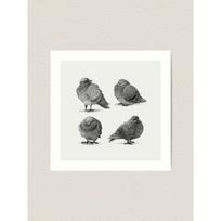 Tapestry of pirate doves 75x100 juoda