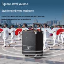 Newmine N557 Portable High-Power Karaoke Trolley Speaker (CN version)