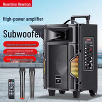 Newmine A8 High-Power Portable Trolley Bluetooth Speaker (CN version)