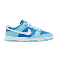 Nike Dunk Low Retro QS Argon (2022) 44.5