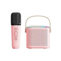 Y1 belaidžiai dvigubi mikrofonai karaokės aparatas KTV DSP sistema Bluetooth 5.3 PA garsiakalbis HIFI stereo erdvinis RGB spalvinga LED šviesa Pink 1 Mic
