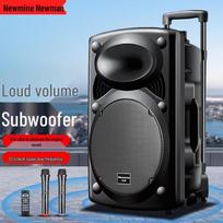 Newmine B12 12-inch Portable Karaoke Trolley Speaker (CN version)