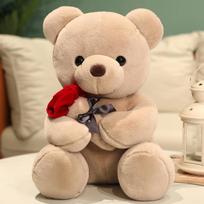 Rose Bear Plush Toy Teddy Bear Valentine's Day Gift 23cm