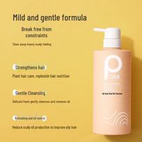 Boti Ginger Amino Acid Volumizing & Oil Control Shampoo