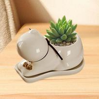 Succulents Pot Flowerpot Bonsai Plants Lovers Gifts Porcelain Resin Plant Holder for