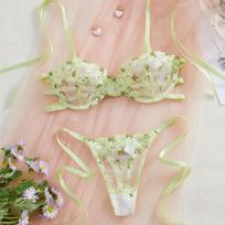 Autumn New Flower Embroidery Light Green Sexy Lingerie Set Pure Perspective Lace Bra S šviesiai žalios spalvos