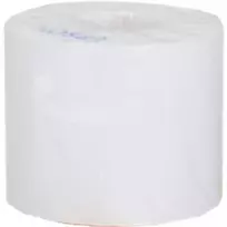 „Epson Premium“ matinė etiketė – ištisinis ritinys: 76 mm x 35 m – matinis – 163 g/m² – 1 vnt. – 113 mm – 108 mm – 89 mm