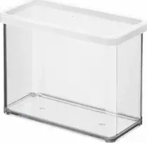 Rotho Didelis maisto konteineris Loft (2.1l)