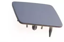 VAG VW priekinių žibintų plovimo įtaiso dangtelis originalus 1Q0955109AGRU