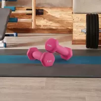 Songmics Hanteliai 2 x 0,5kg