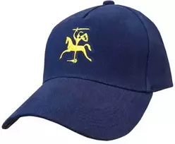 Kepurė Auksinis Vytis