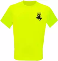 KS Sportiniai Marškinėliai Vytis Lietuva (Vėliavėlė Ant Nugaros), Dydis: M