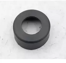 Dedra Guminis guolio dangtelis