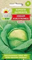 Toraf baltųjų kopūstų sėklos Amager 2g