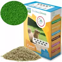 Kupranugario žolė 1kg Saulėtos, sausos vietos