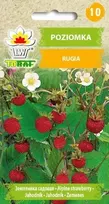 Toraf Rugia braškių sėklos 0,2 g