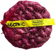 Žieminiai svogūnų laiškai sodinimui Raudonas ELECTRIC 250g (derlius 2025 m.)