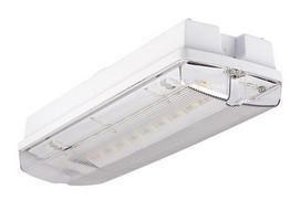 Orion 4W LED avarinio išėjimo lemputė, baterija 3H, IP65