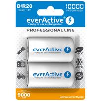 R20/D baterijos 1,2V everActive Professional linija Ni-MH 10000 mAh pakuotėje po 2GB.