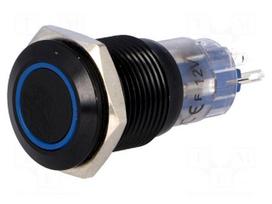 Switch: vandal resistant | Pos: 2 | SPDT | 0.5A/220VAC | 1A/24VDC | IP67