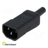 Jungtis: kintamosios srovės tiekimas | kištukas | vyras | 10A | IEC 60320 | C14 (E) | tiesiai