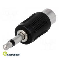 Adapteris | Jack 3,5 mm kištukas, RCA lizdas | monofoninis