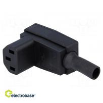 Jungtis: kintamosios srovės tiekimas | kištukas | moteris | 10A | 250VAC | IEC 60320 | C13 (F)