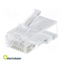 Kištukas | RJ45 | Katė: 6a | neekranuotas | paauksuotas | Išdėstymas: 8p8c | tiesiai