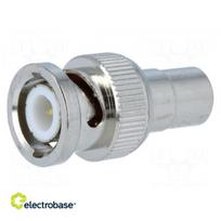 Adapteris | BNC kištukas, RCA lizdas