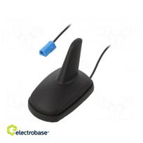 Antenna; SHARK; AM,FM; Opel GM; black; 12VDC; Kind: RG174; 87÷108MHz