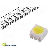 LED; SMD; 3528,PLCC6; white cold; 24200÷37800mlm; 7.1÷14cd; 5600K