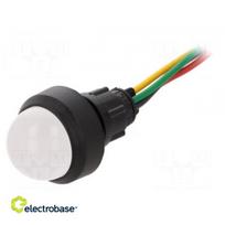 Indicator: LED | prominent | 230VAC | Cutout: Ø13mm | IP40 | 300mm leads