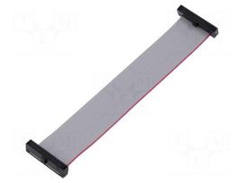 Ribbon cable with IDC connectors | IDC socket,both sides | 30AWG