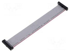 Ribbon cable with IDC connectors | IDC socket,both sides | 30AWG