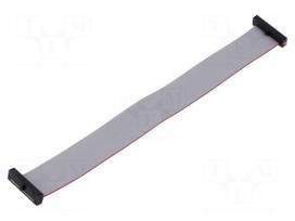 Ribbon cable with IDC connectors | IDC socket,both sides | 30AWG