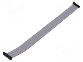 Ribbon cable with IDC connectors | IDC socket,both sides | 30AWG