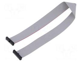 Ribbon cable with IDC connectors | IDC socket,both sides | 30AWG