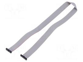 Ribbon cable with IDC connectors | IDC socket,both sides | 30AWG