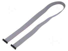 Ribbon cable with IDC connectors | IDC socket,both sides | 30AWG