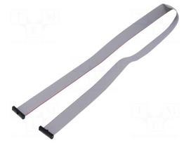 Ribbon cable with IDC connectors | IDC socket,both sides | 635mm